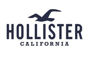 saldi Marchio Hollister Co.